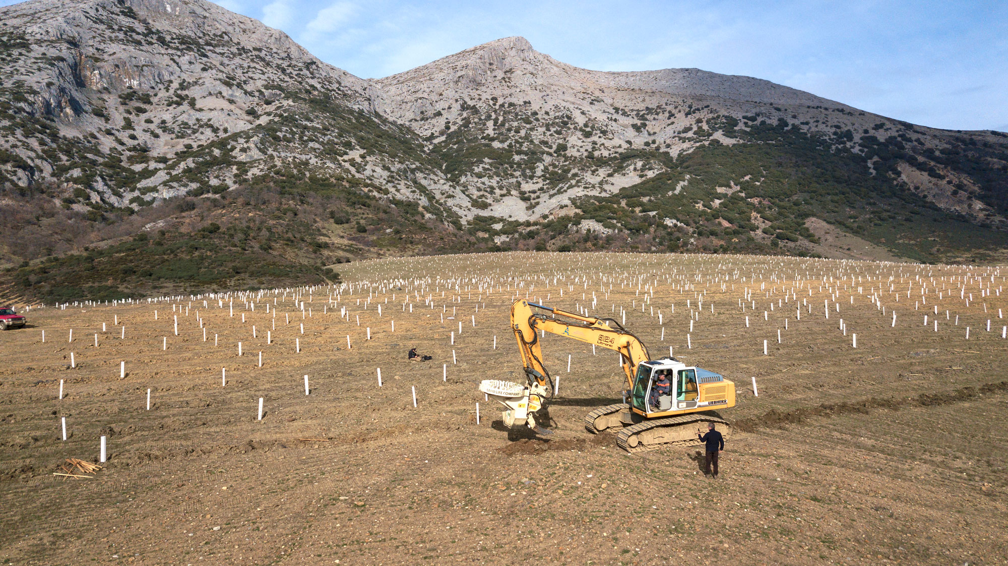 Land Life company reforestación españa