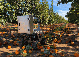 robot-fruta-FOODCOLLET