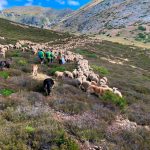 Aventura Trashumante tiendanimal