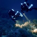 Buceadores-realizando-muestreos-en-los-bosques-profundos-de-coral-negro-de-la-isla-de-Santo-Antao