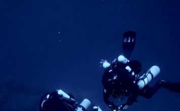 Buceadores-realizando-muestreos-en-los-bosques-profundos-de-coral-negro-de-la-isla-de-Santo-Antao