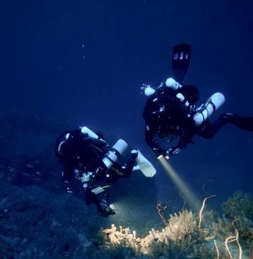 Buceadores-realizando-muestreos-en-los-bosques-profundos-de-coral-negro-de-la-isla-de-Santo-Antao