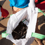 recogida-de-residuos-del-mar