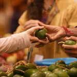 Biocultura Madrid 2022