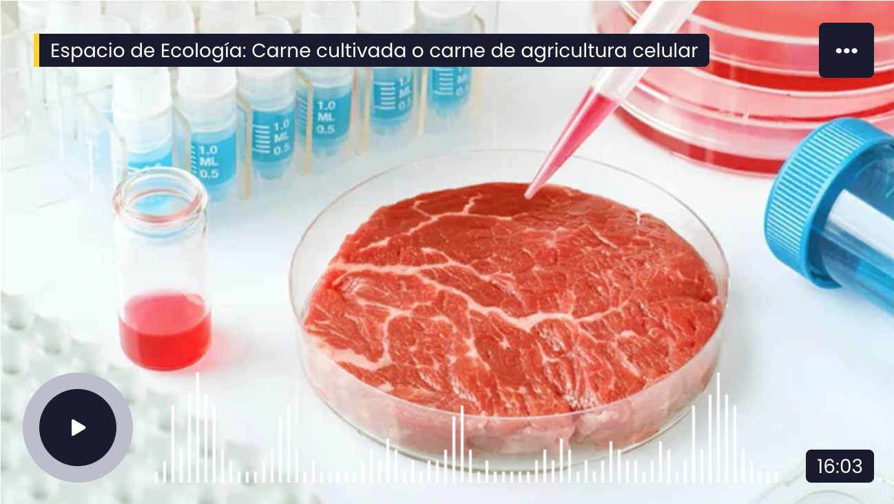 Carne cultivada carne in vitro carne artificial UNAM medio ambiente