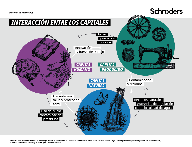 Interacciones-entre-capitales