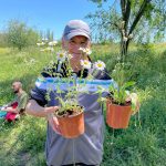 Zass Encuentros en el tercer paisaje