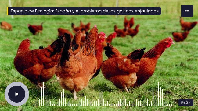 huevos y gallinas libres jaulas españa Compassion in world Farming