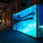 Exposición Somos Agua Fundación Canal