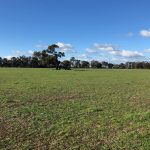 Walla Walla Solar Farm