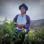 Mujer cultivando duraznos en Bolivia