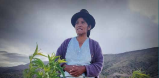 Mujer cultivando duraznos en Bolivia
