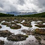 Humedales Ecologistas en Acción