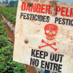 Pesticidas prohibidos UE