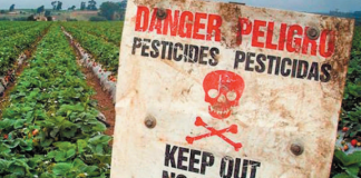 Pesticidas prohibidos UE
