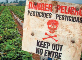 Pesticidas prohibidos UE