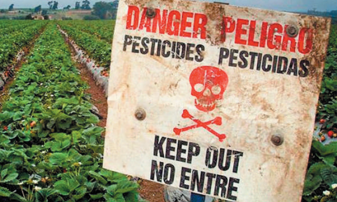 Pesticidas prohibidos UE