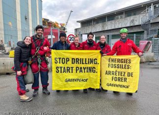 Los activistas llegan a Haugesund tras 13 días de ocupación de la nueva plataforma petrolífera de Shell.