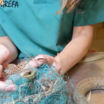 Crías de serpiente en Grefa