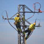 Endesa para la protección de aves