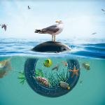 TNU día mundial del océano