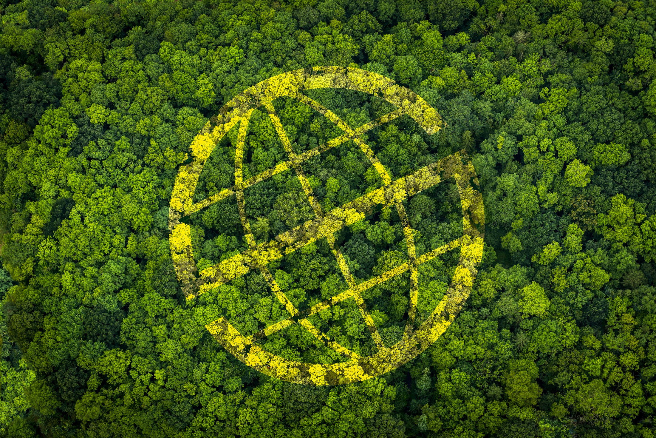 Delitos cintra el medio ambiente