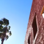 Terra Natura Benidorm instala cajas refugio para murciélagos