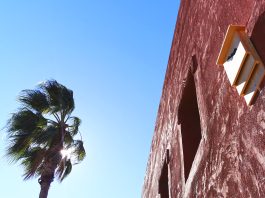 Terra Natura Benidorm instala cajas refugio para murciélagos