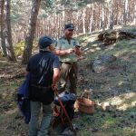 Recoger setas Madrid