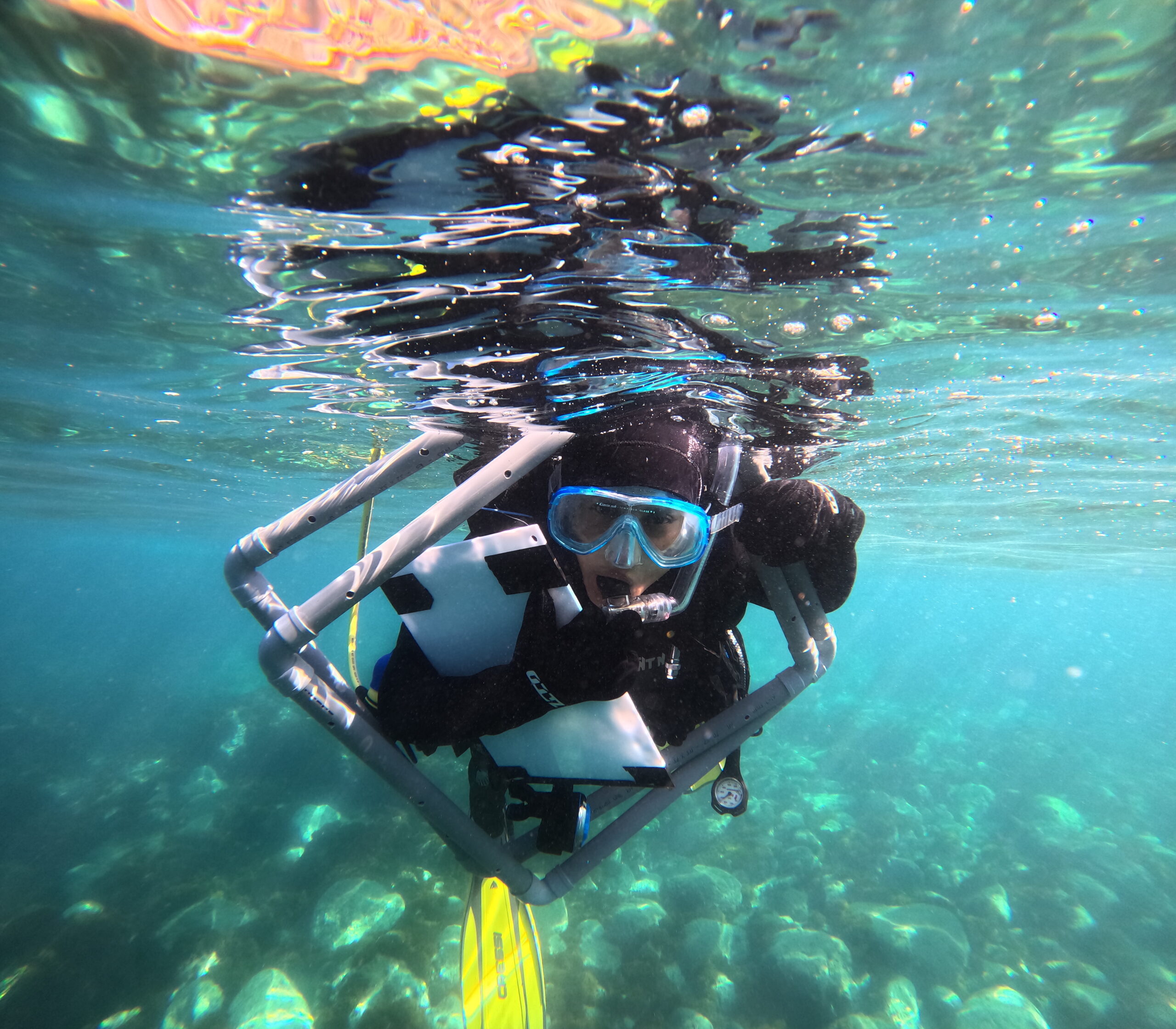Trabajo de campo_Bosques Sumergidos de posidonia