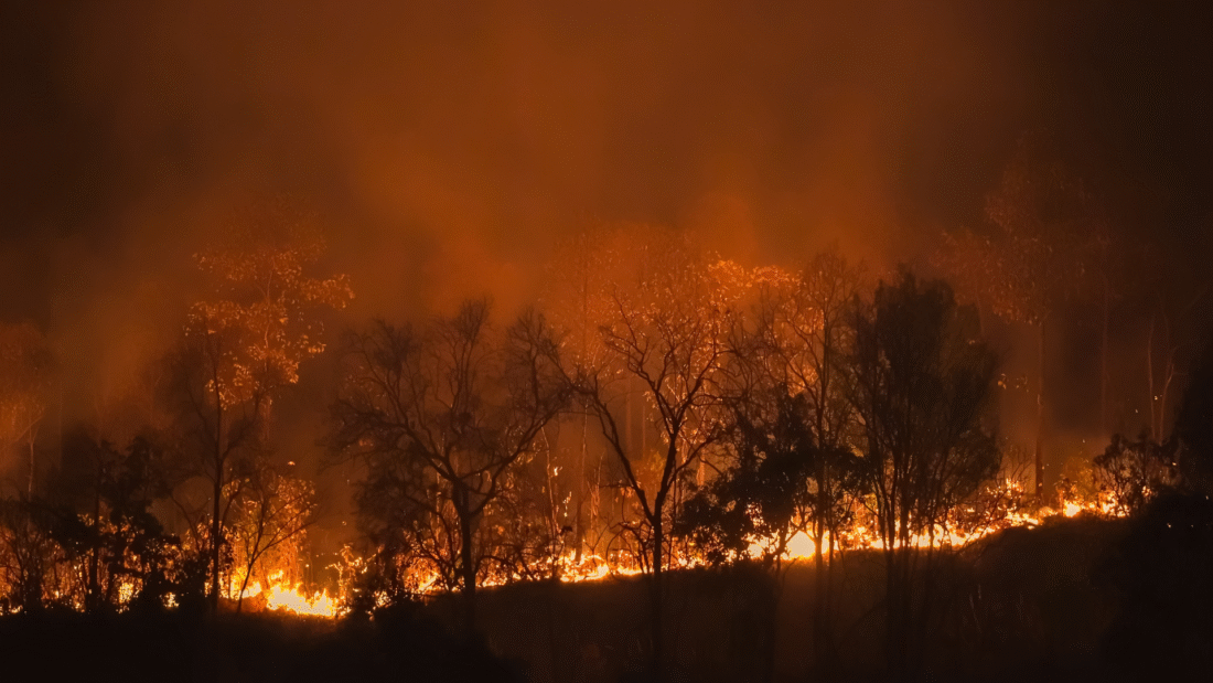 incendios @akaratwimages Canva