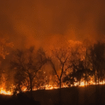 incendios @akaratwimages Canva