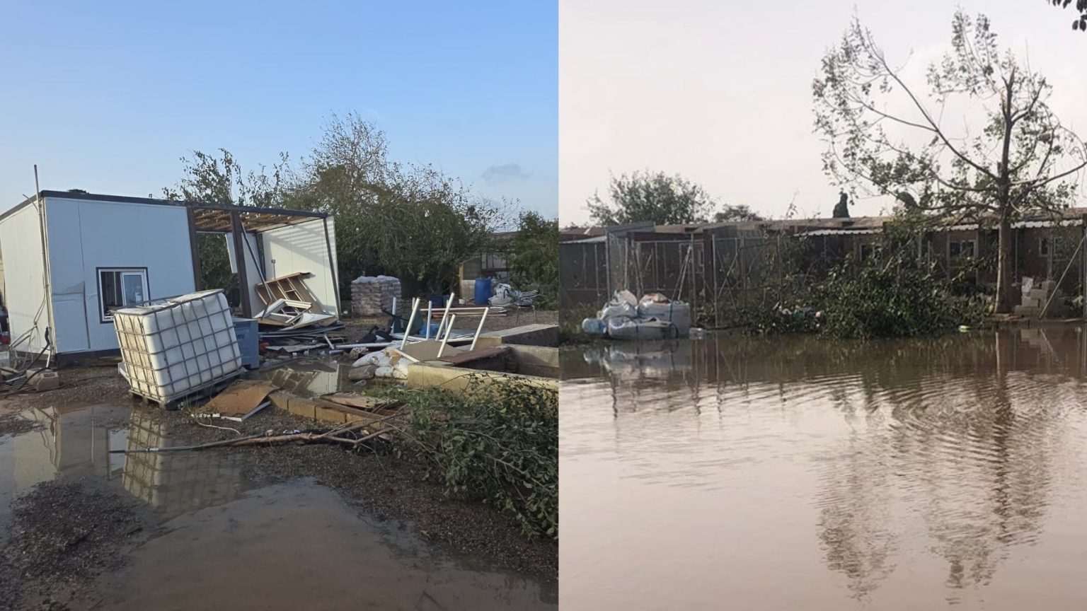 Estado del refugio de animales de la protectora Modepran en Carlet (Valencia), anegado y dañado tras el paso de la DANA en 2024
