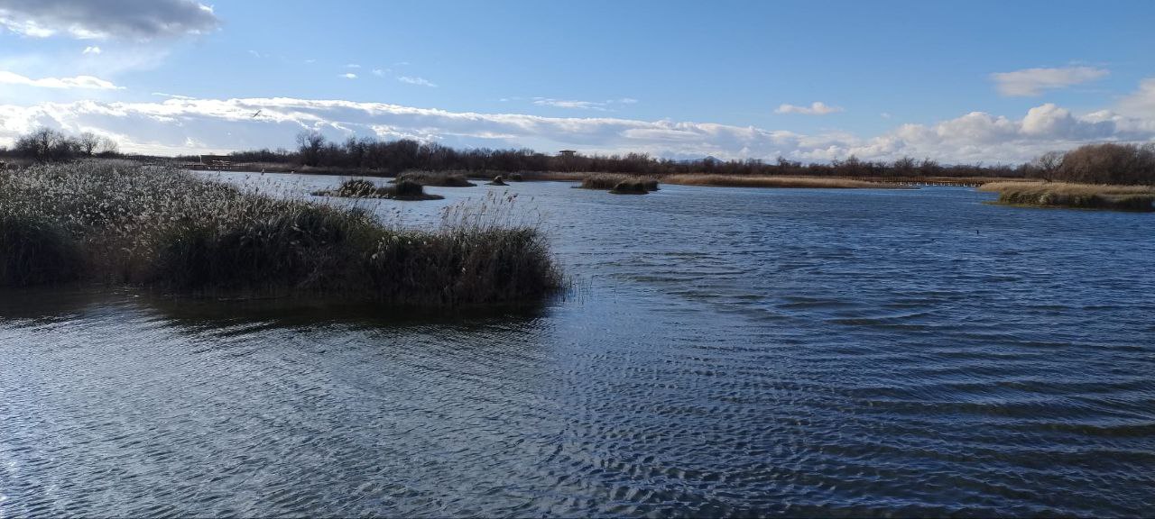 Las Tablas de Daimiel Febrero 2024- Imagen Leonor Rodríguez