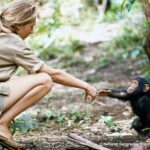 Misión e historia - Imagen National Geographic Society / Hugo Van Lawick