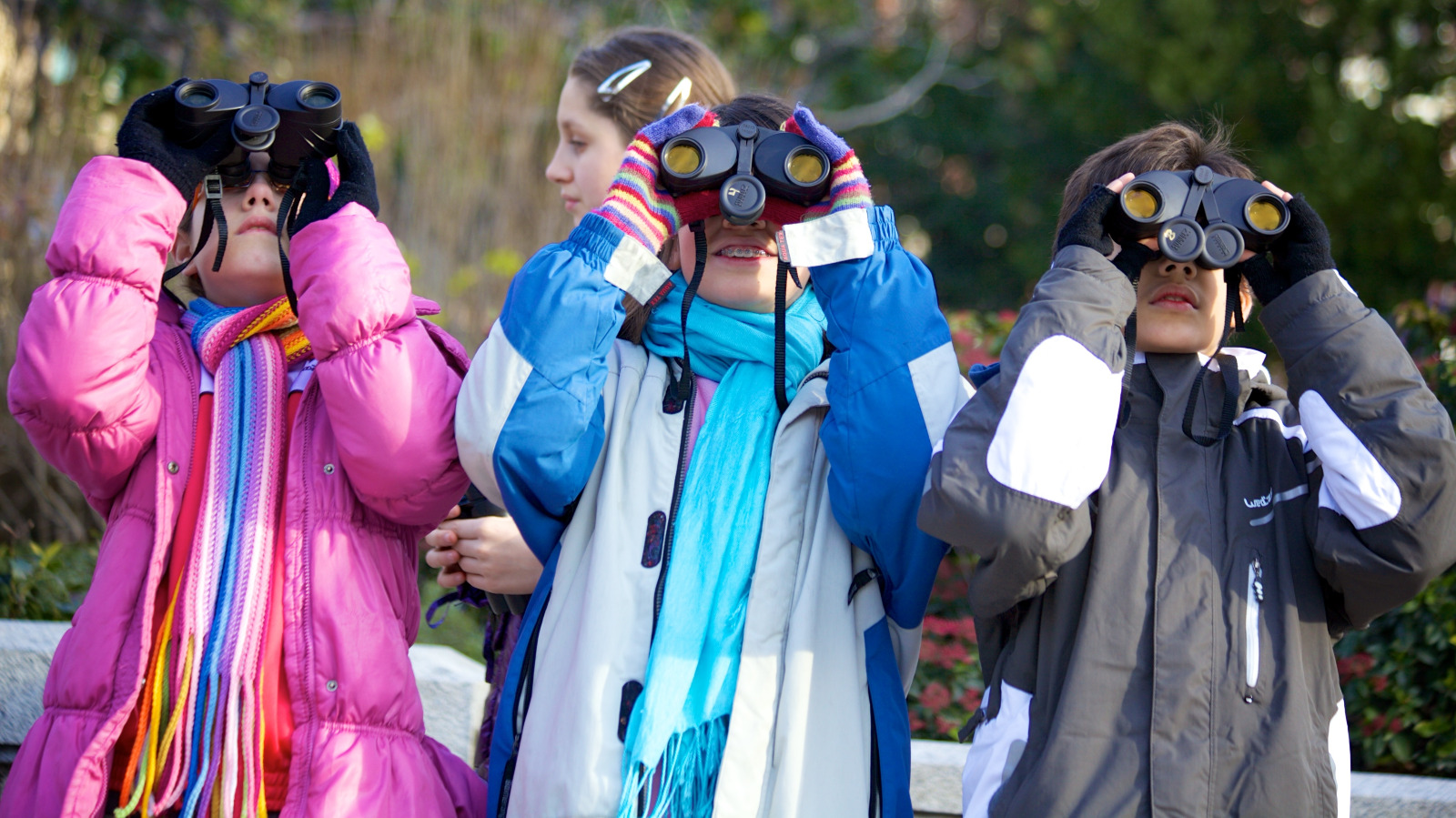 Excursión escolar Aver Aves