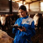 App Provacuno para medir la huella de carbono del vacuno