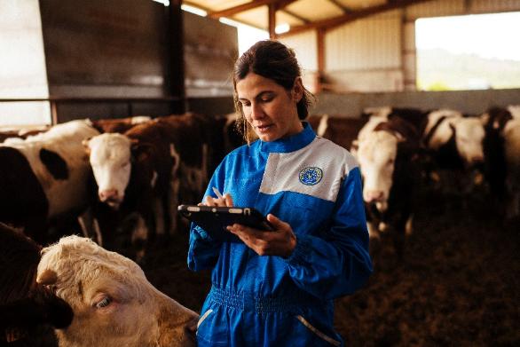 App Provacuno para medir la huella de carbono del vacuno