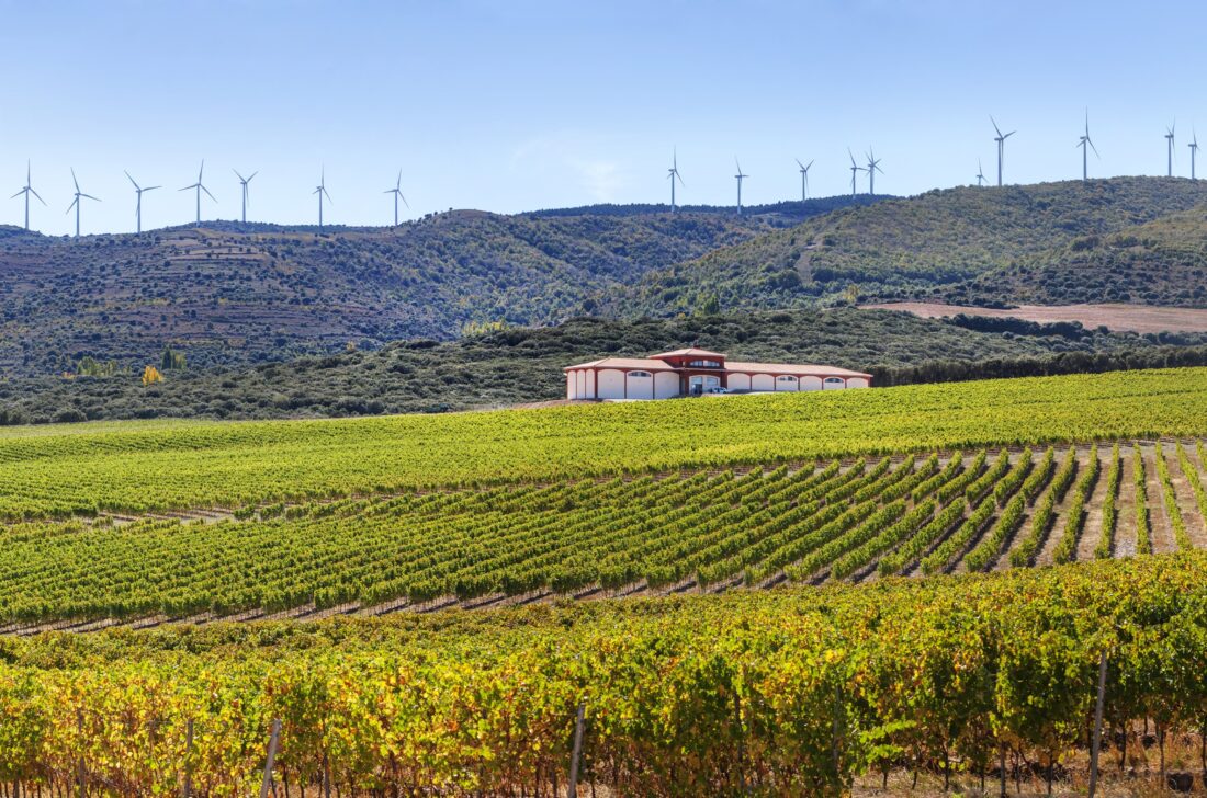 Finca Carbonera - viñedo de altitud frente el cambio climático