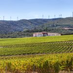 Finca Carbonera - viñedo de altitud frente el cambio climático