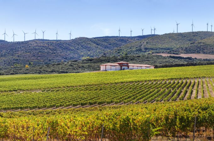 Finca Carbonera - viñedo de altitud frente el cambio climático
