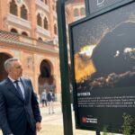 Toro bravo, guardián de la diversidad. Imagen de Comunidad de Madrid