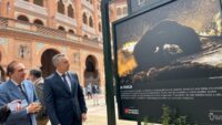 Toro bravo, guardián de la diversidad. Imagen de Comunidad de Madrid