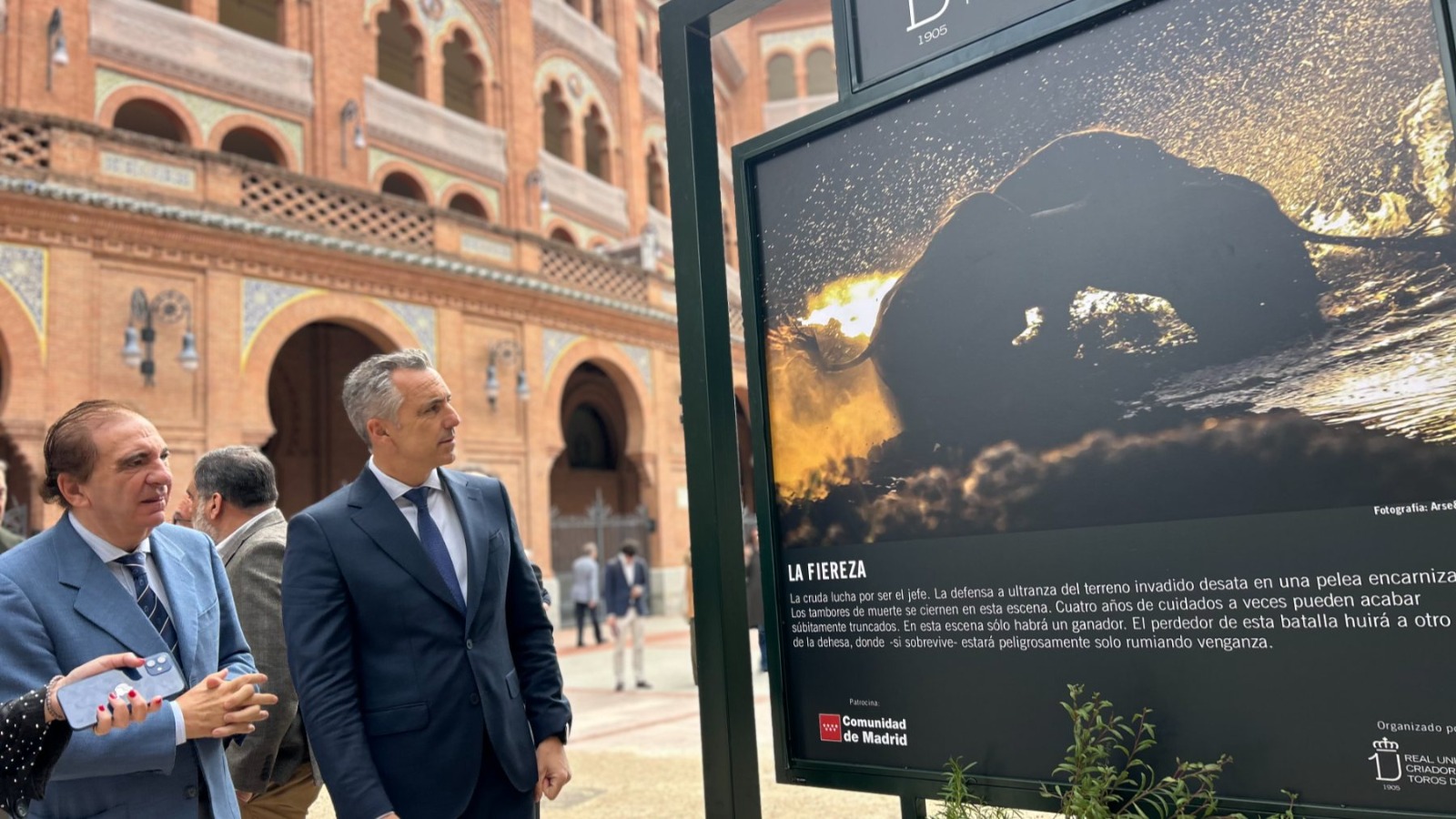 Toro bravo, guardián de la diversidad. Imagen de Comunidad de Madrid