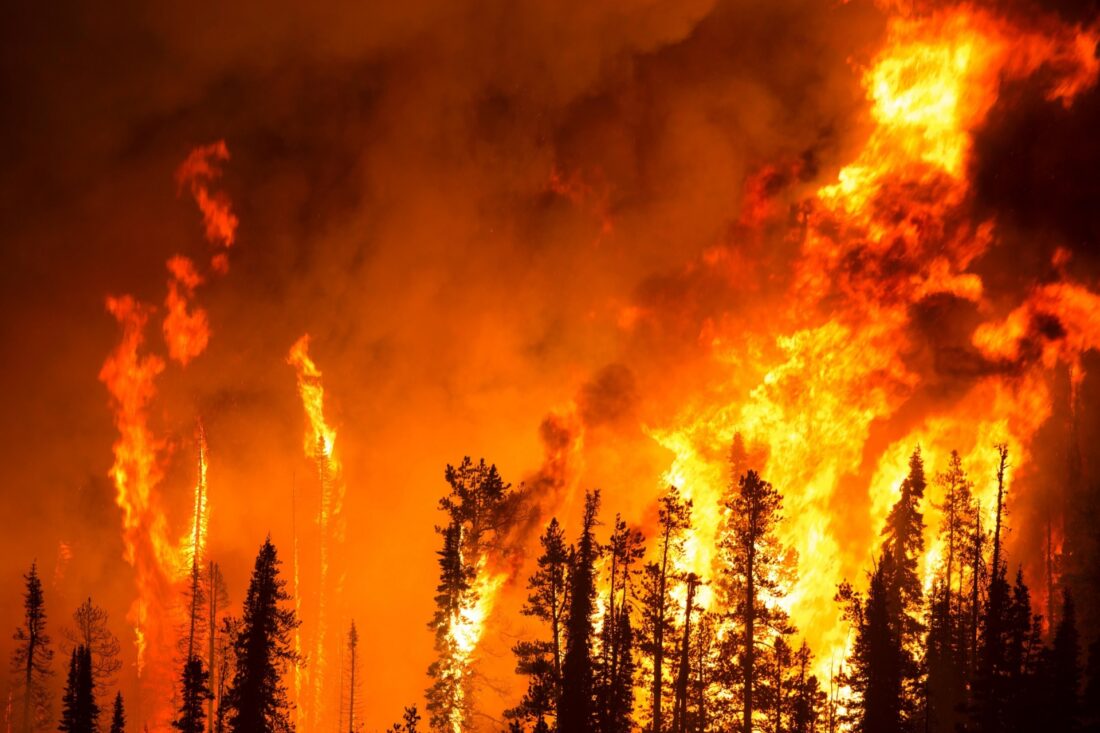 Bulos sobre incendios
