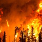 Bulos sobre incendios