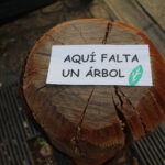 árboles que faltan en Madrid