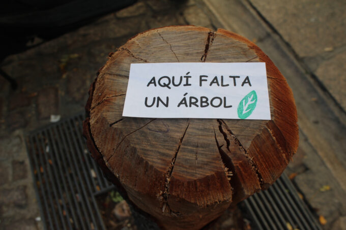 árboles que faltan en Madrid