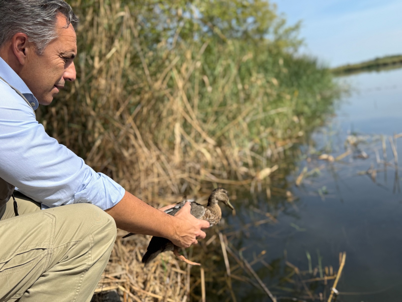 Carlos Novillo presentando los observatorios de fauna de Madrid