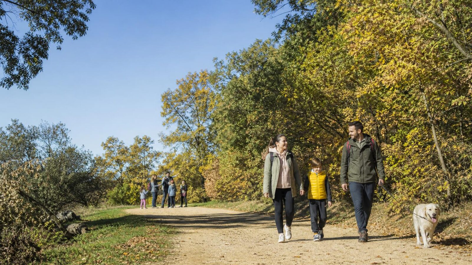 Rutas, charlas y talleres gratuitos para toda la familia hasta el 27 de diciembre en los centros de educación ambiental de la Comunidad de Madrid